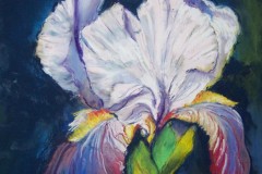 Garden-Iris-9.25x12-pastel-350